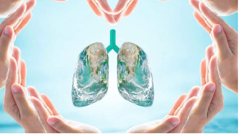 Pulmoner Rehabilitasyon